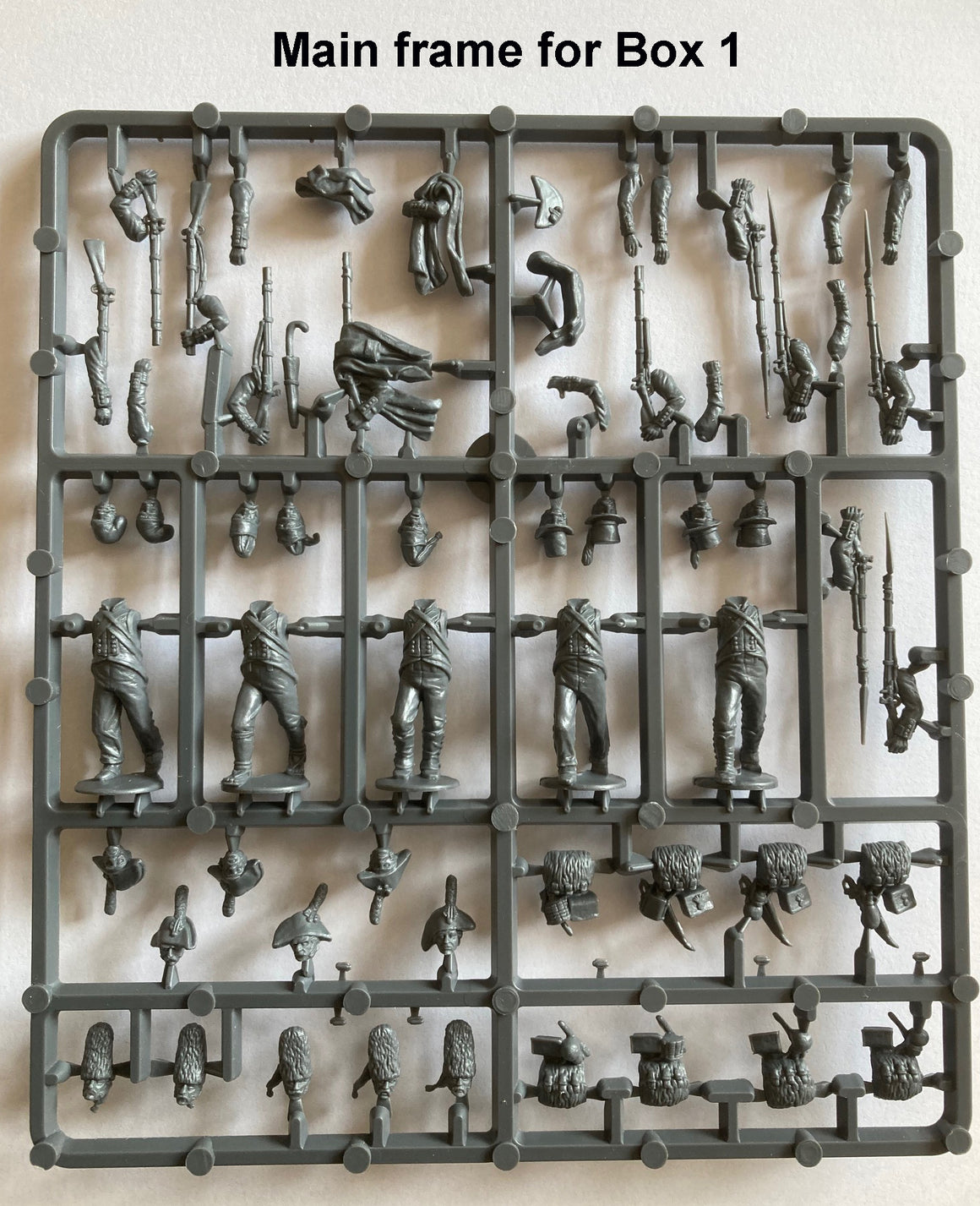 Perry Miniatures Spanish SINGLE SPRUE Napoleonic Infantry (1) 1808-11