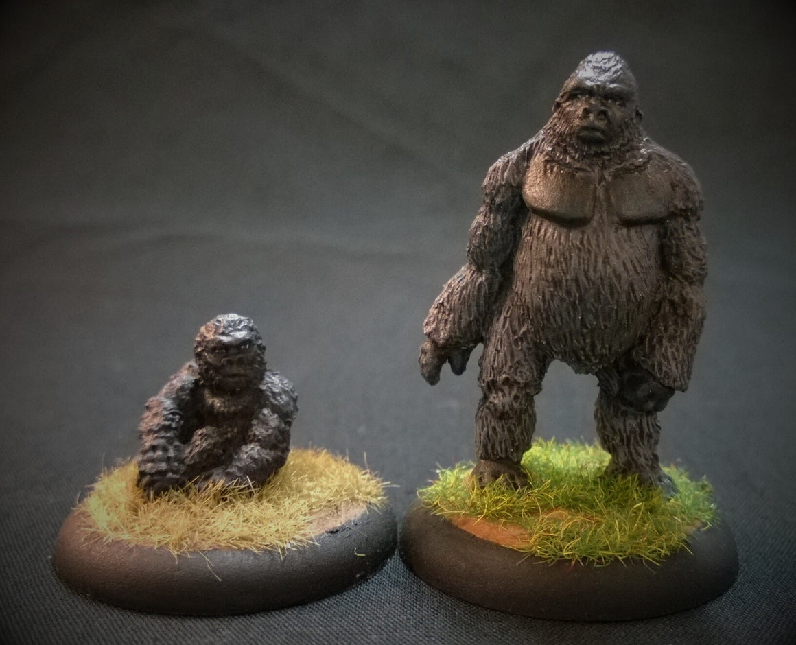 AA106 Gorillas