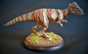 AA117 Pachycephalosaurus