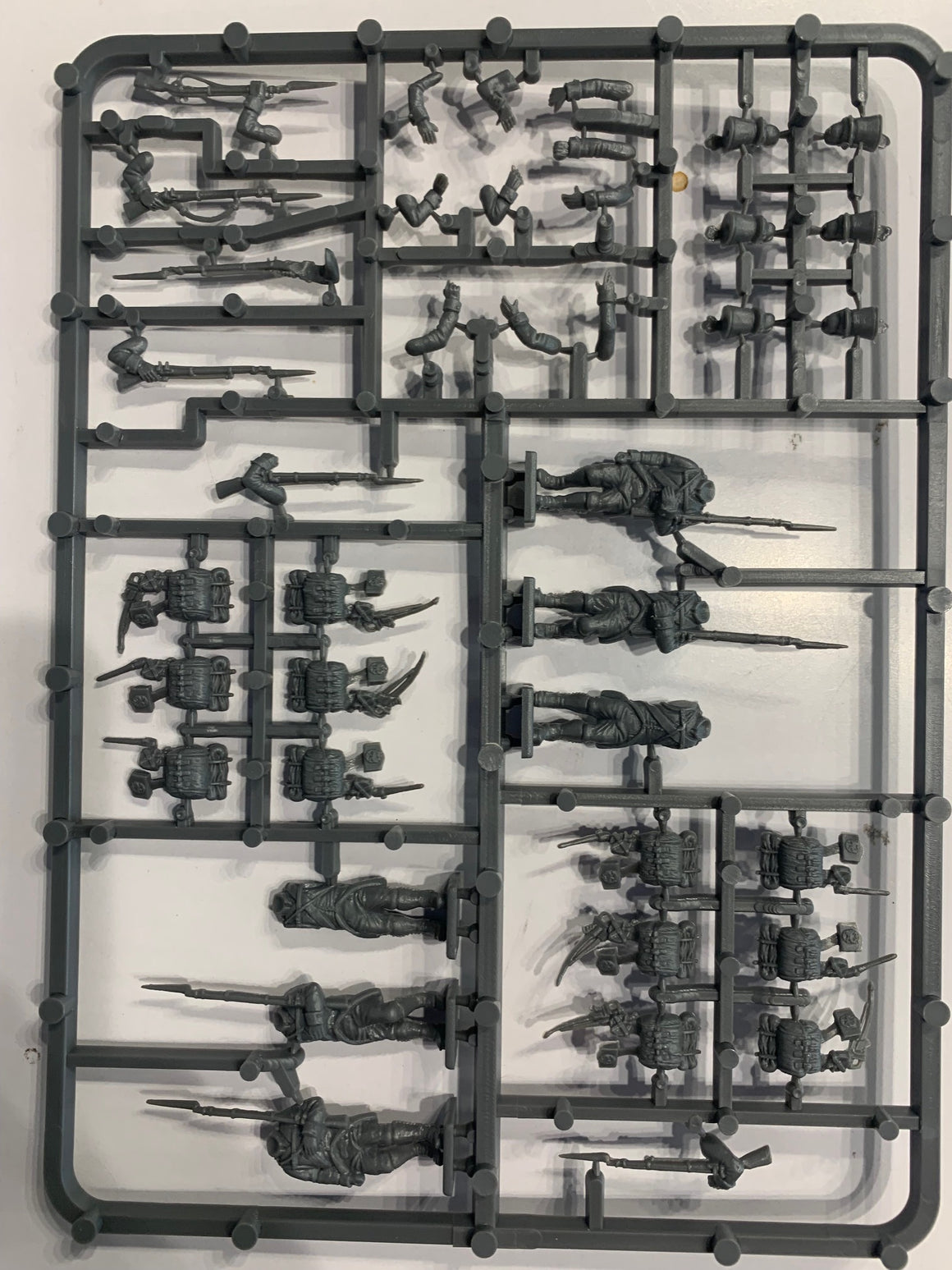 Victrix Austrian Napoleonic Infantry SINGLE SPRUE 1806-1815
