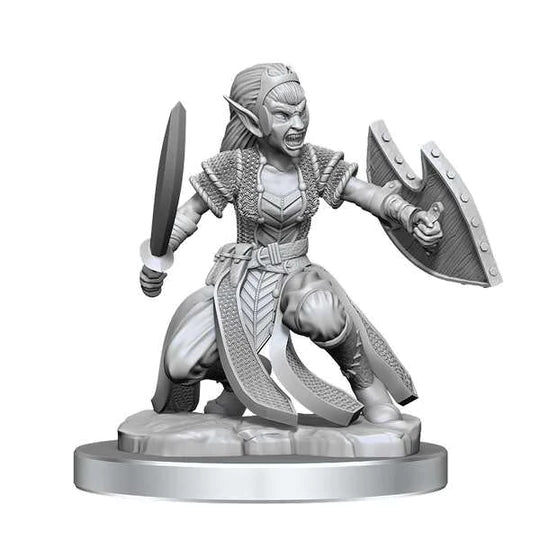 Nolzur's Marvelous Miniatures - Shifter Fighter