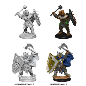 Dragonborn Paladin (Male) - Nolzur's Marvelous Miniatures