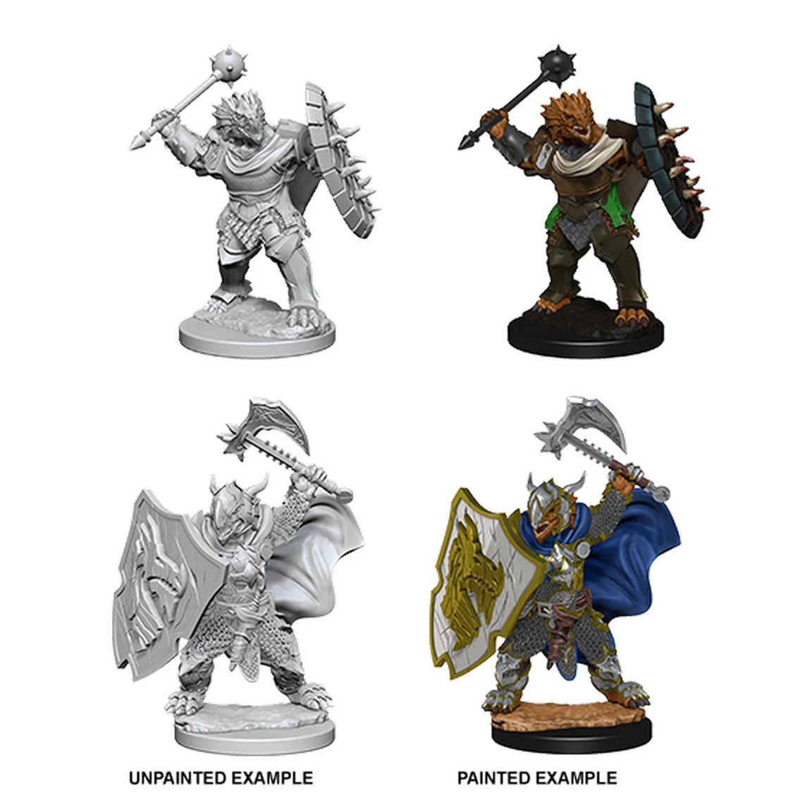 Dragonborn Paladin (Male) - Nolzur's Marvelous Miniatures