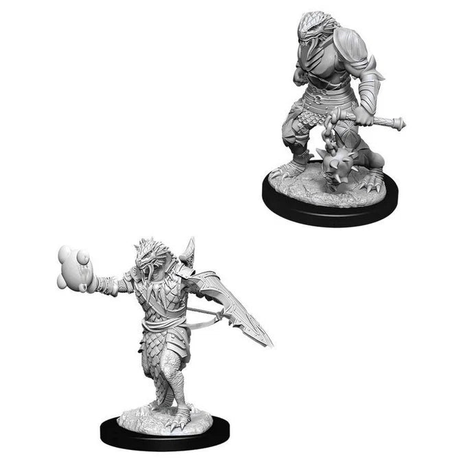 Nolzur's Marvelous Miniatures: Dragonborn Paladin