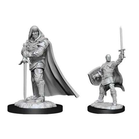 Nolzur's Marvelous Miniatures: Human Paladin (Male)
