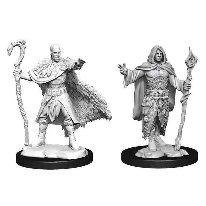 Nolzur's Marvelous Miniatures: Human Druid (Male)