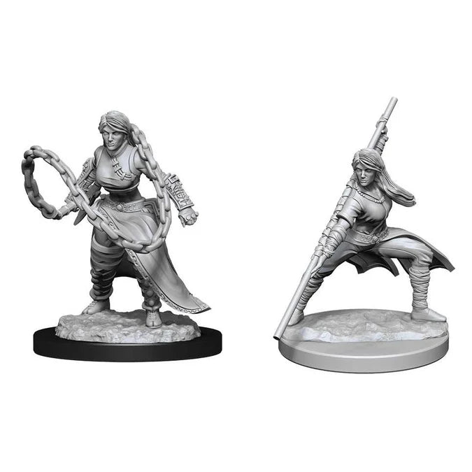 Nolzur's Marvelous Miniatures: Human Monk (Female)