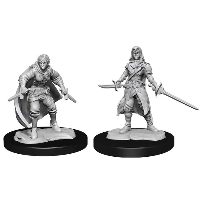 Nolzur's Marvelous Miniatures: Half-Elf Rogue (Female)