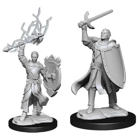 Nolzur's Marvelous Miniatures: Half-Elf Paladin (Male)