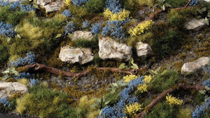 Gamers Grass Bluebeard Flowers