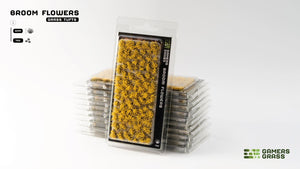 Gamers Grass Broom Flowers