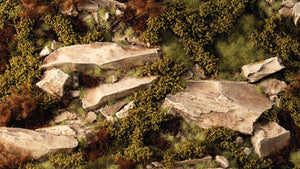 Gamers Grass Dry Green Shrubs