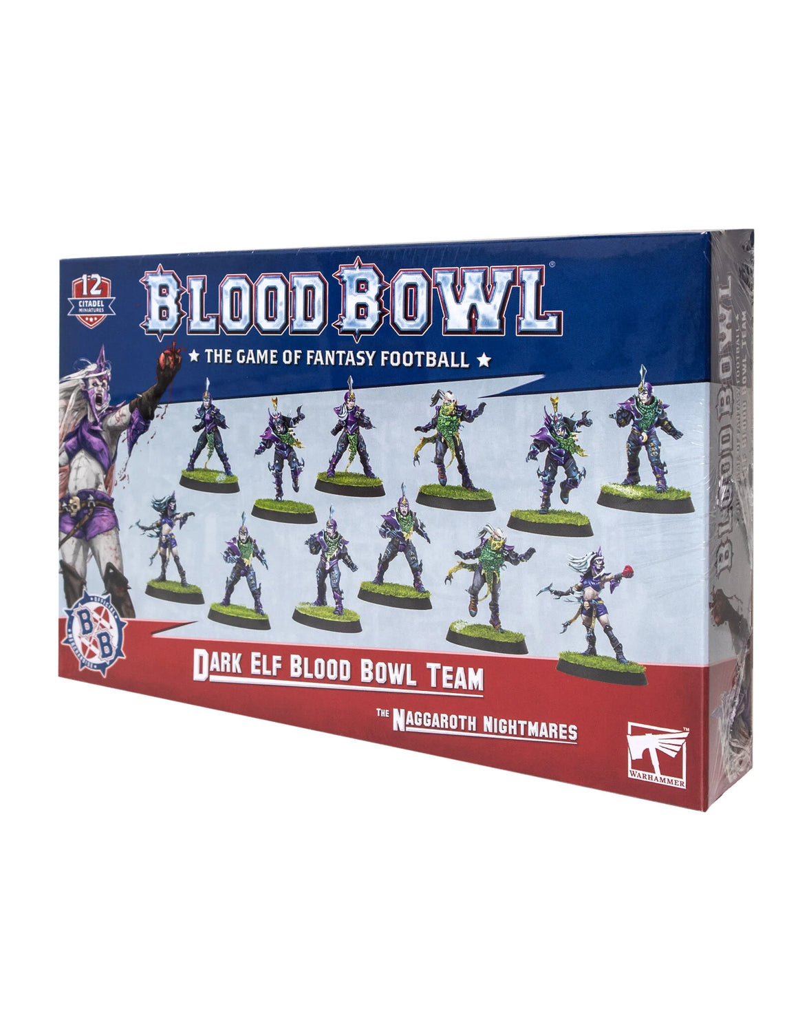 Bloodbowl: Dark Elf Team