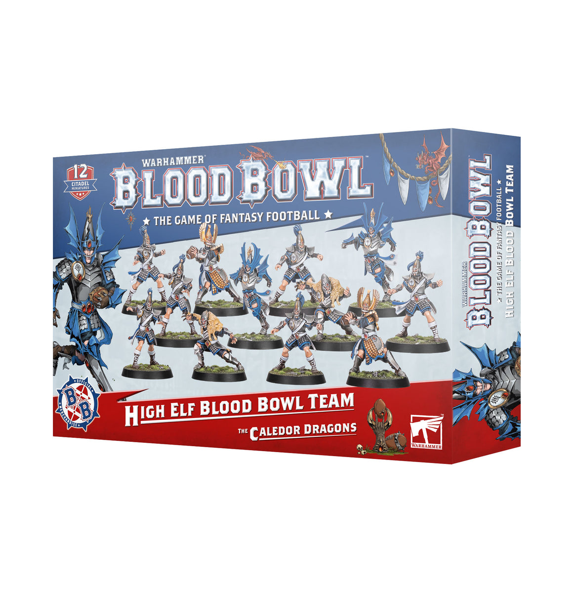 Bloodbowl: High Elf Team - The Caledor Dragons