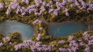 Gamers Grass Lavender Flowers