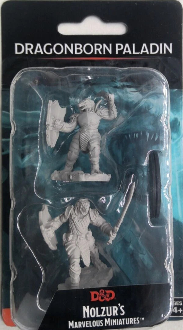 Dragonborn Paladin (Female) - Nolzur's Marvelous Miniatures