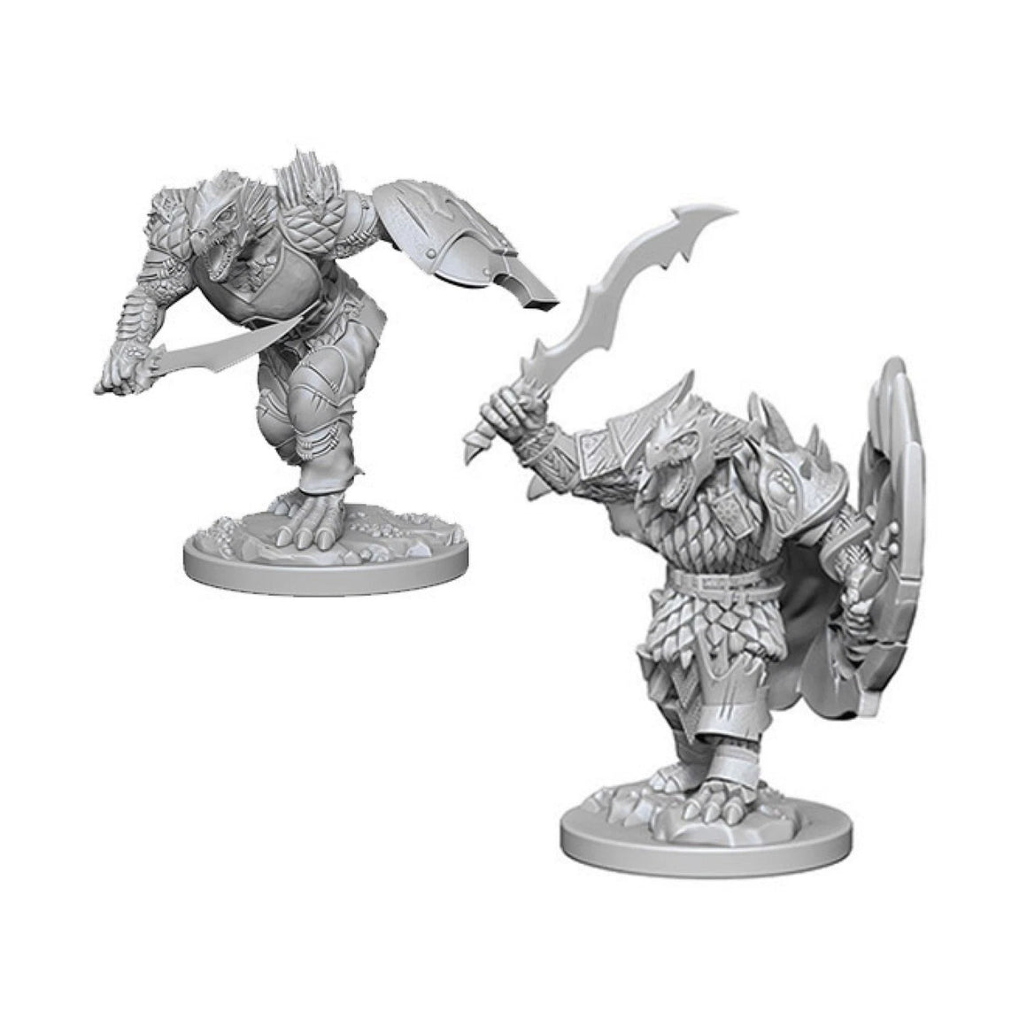 Dragonborn Fighter (Male) - Nolzur's Marvelous Miniatures