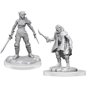 Elf Rogue & Half-Elf Rogue Protege (D&D Nolzur's Marvelous Miniatures)