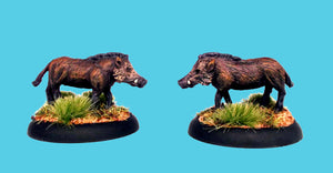 AA105 Wild Boar