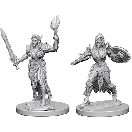 Elf Female Fighter (WizKids Pathfinder Deep Cuts)