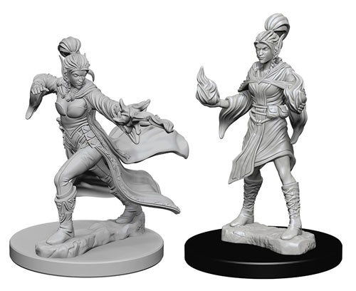 Elf Female Sorcerer (WizKids Pathfinder Deep Cuts)