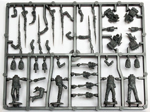 Perry Miniatures Elite Companies French Infantry Sprue 1807-14