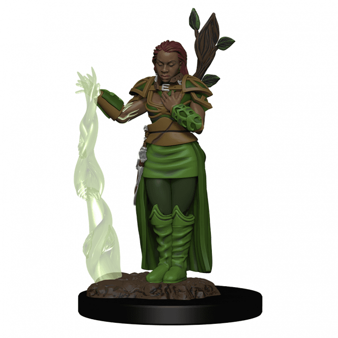 Human Druid (D&D Icons Of The Realms)