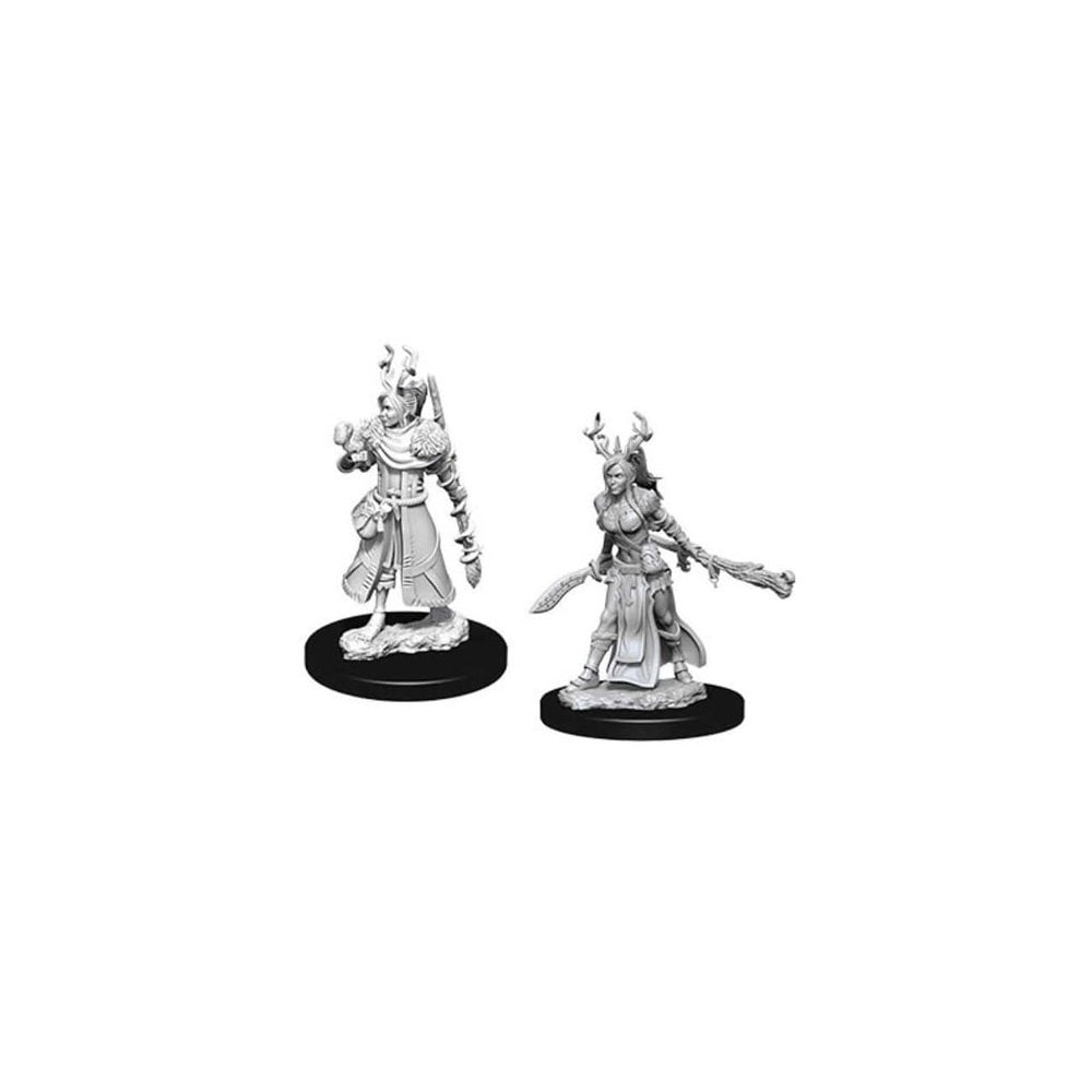 Female Human Druid (D&D Nolzur's Marvelous Miniatures)