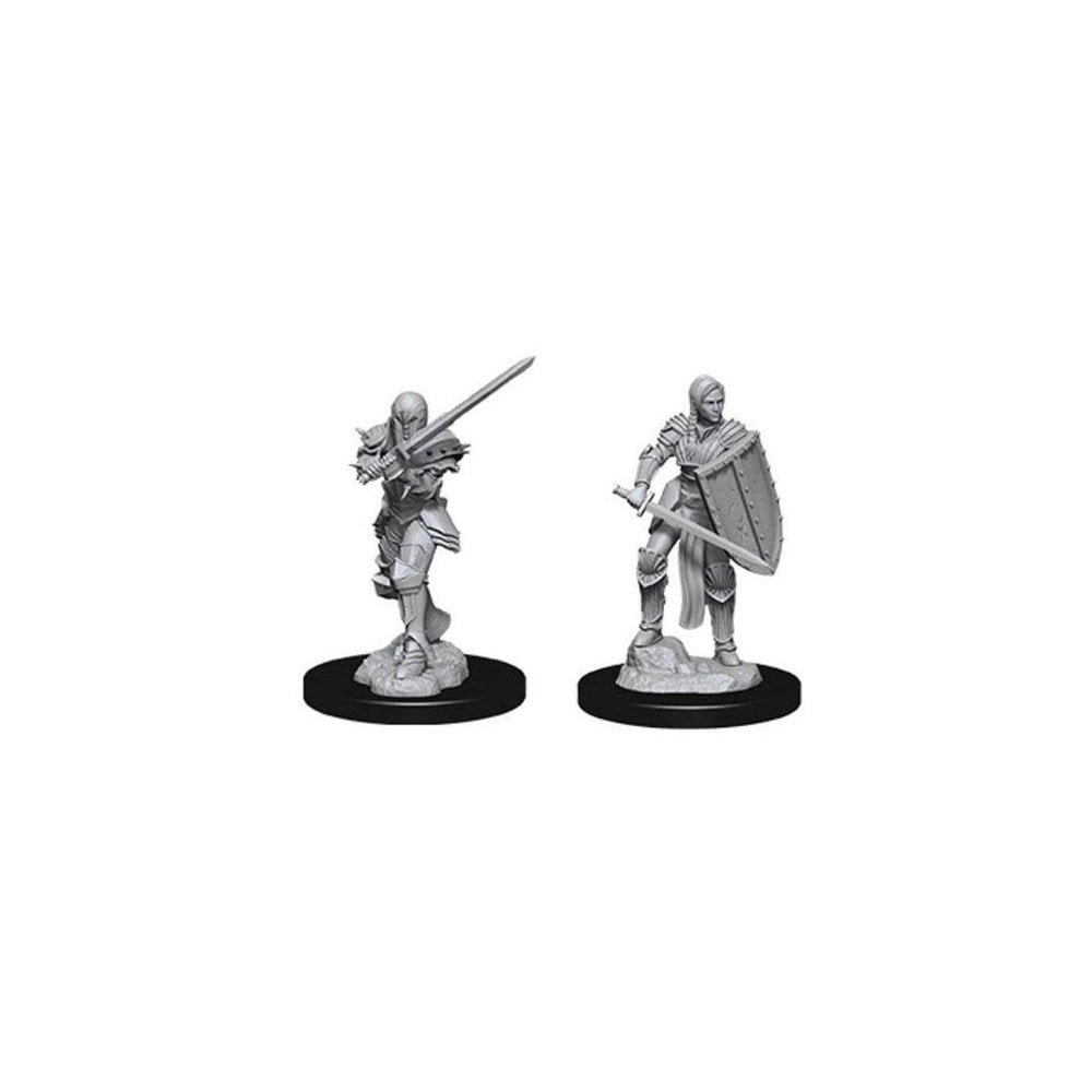 Female Human Fighter (D&D Nolzur's Marvelous Miniatures)