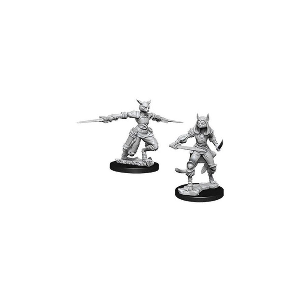 Female Tabaxi Rogue (D&D Nolzur's Marvelous Miniatures)