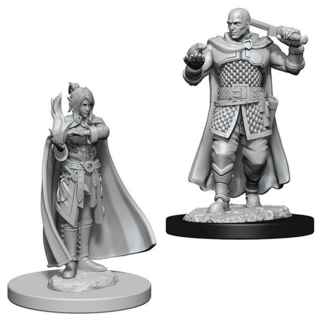 Human Ranger & Moon Elf Sorcerer (D&D Nolzur's Marvelous Miniatures)