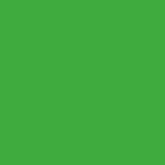 Miniature Paints Bright Green (#MP014)