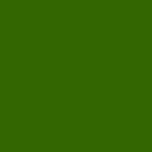 Miniature Paints Dark Green (#MP012)