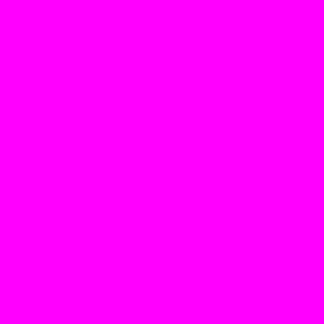 Miniature Paints Magenta (#MP053)