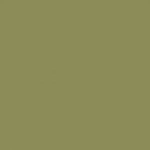Miniature Paints Olive Green (#MP019)