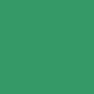 Miniature Paints Sea Green (#MP011)