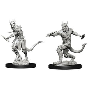 Male Tiefling Rogue (D&D Nolzur's Marvelous Miniatures)