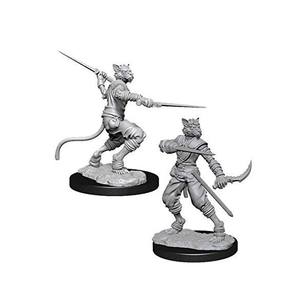 Male Tabaxi Rogue (D&D Nolzur's Marvelous Miniatures)