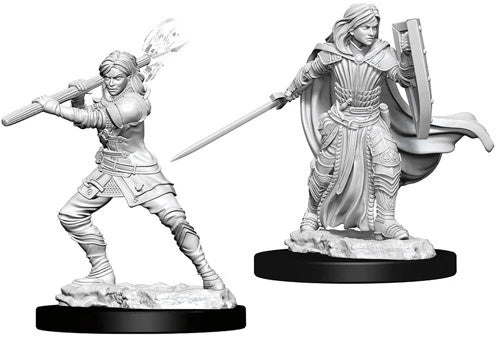 Female Human Paladin 2 (D&D Nolzur's Marvelous Miniatures)
