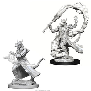 Male Tiefling Sorcerer (D&D Nolzur's Marvelous Miniatures)