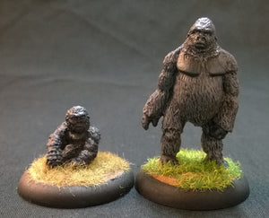 AA106 Gorillas