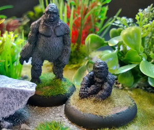 AA106 Gorillas