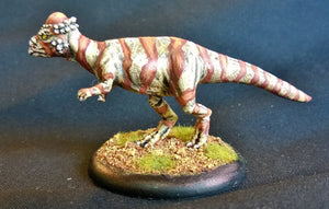 AA117 Pachycephalosaurus