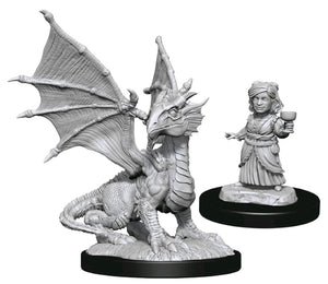 Silver Dragon Wyrmling & Halfling Dragon-Friend (D&D Nolzur's Marvelous Miniatures)