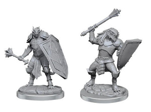 Dragonborn Clerics (D&D Nolzur's Marvelous Miniatures)