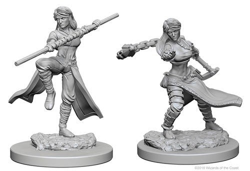 Female Human Monk (D&D Nolzur's Marvelous Miniatures)