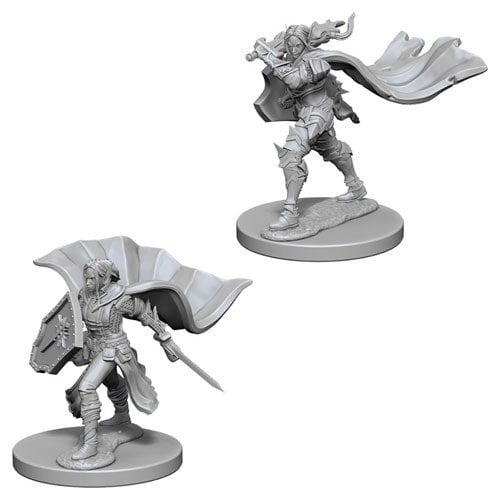 Elf Female Paladin (WizKids Pathfinder Deep Cuts)