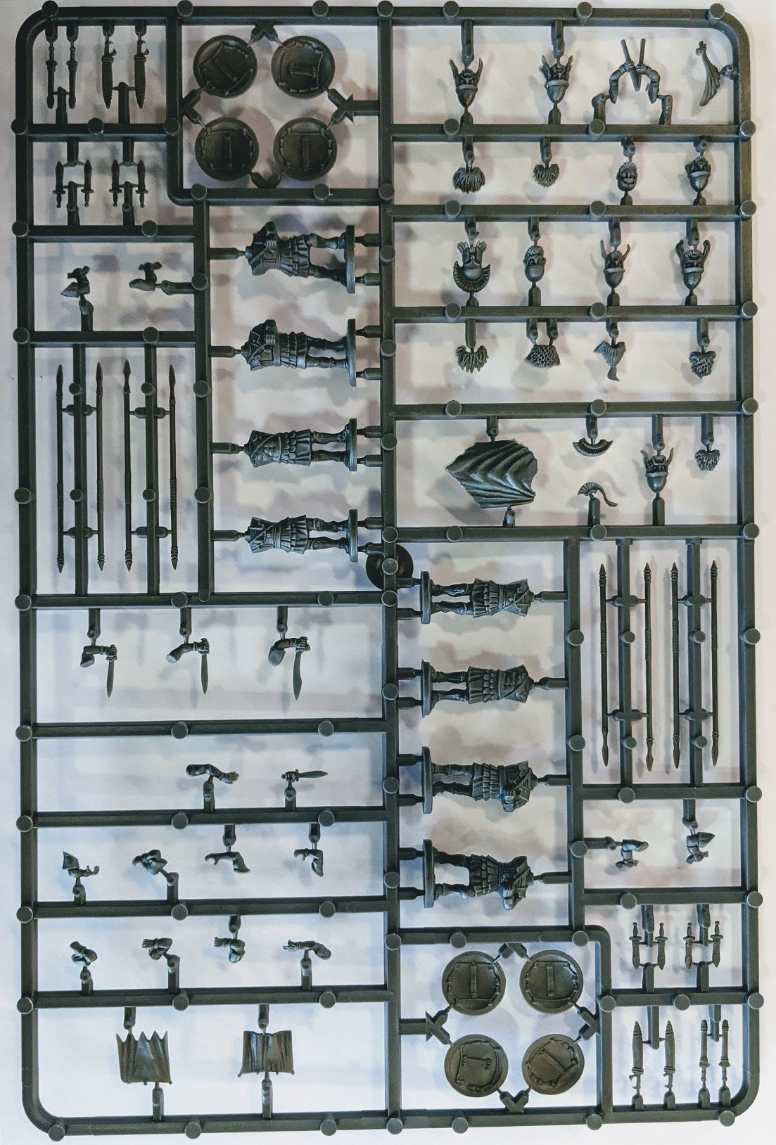 Victrix VXA002 Spartan Armoured Hoplites 5th to 3rd Century BC sprue