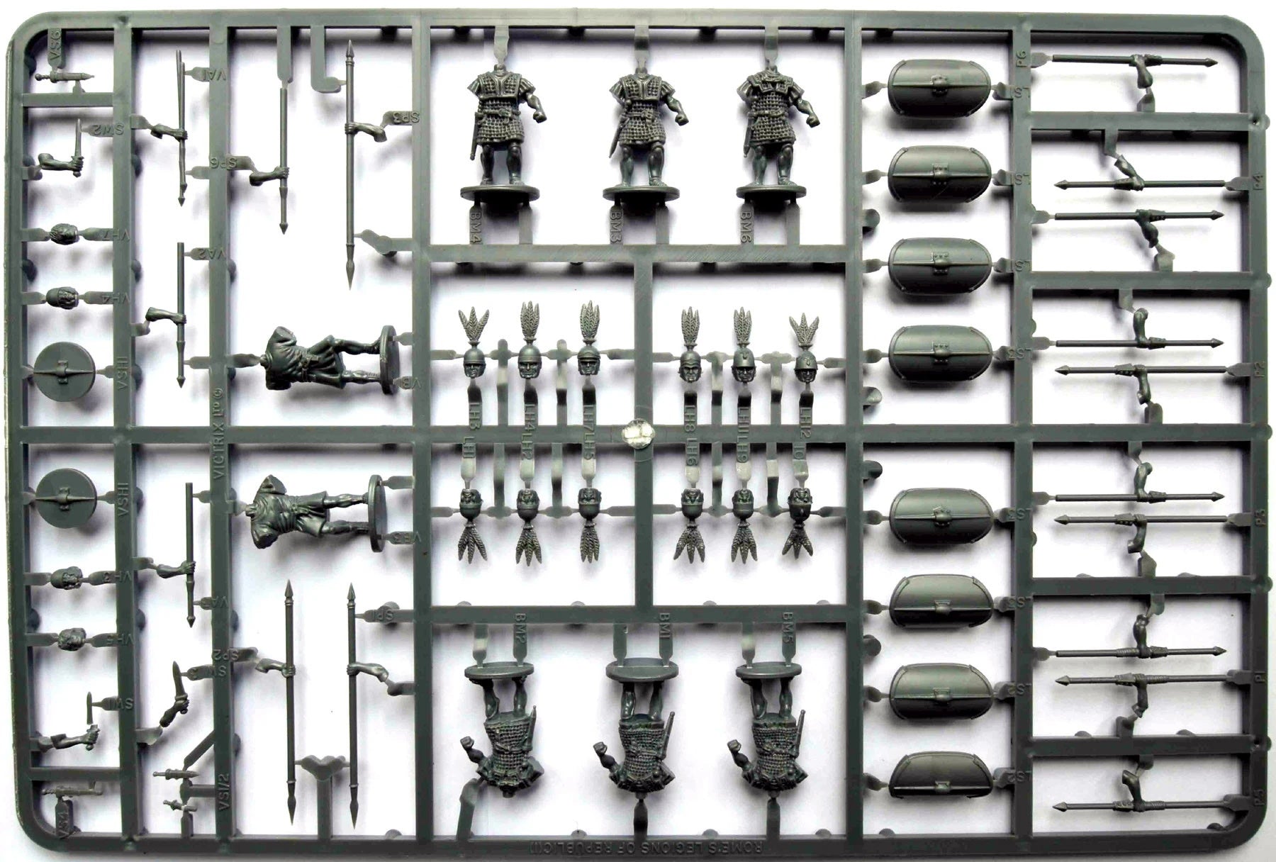 Victrix VXA007 Rome's Legions of the Republic (I) sprue