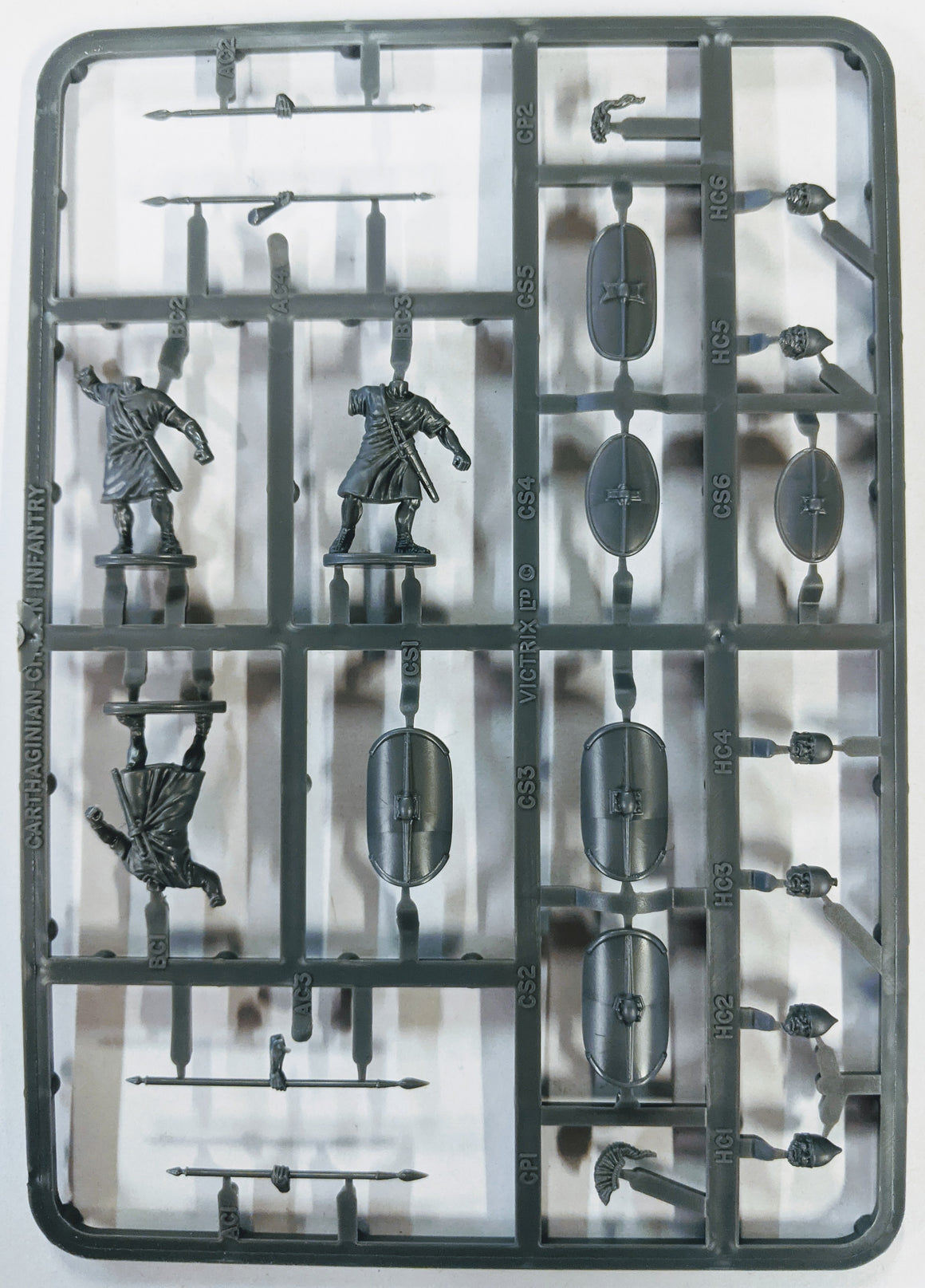 Victrix VXA011 - Carthaginian Citizen Infantry sprue